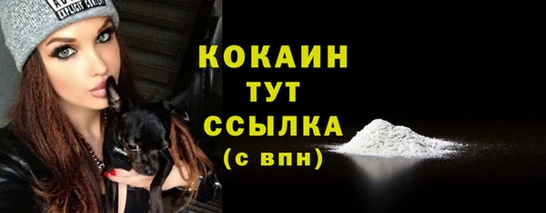 spice Бугульма