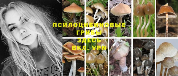мдма Бронницы