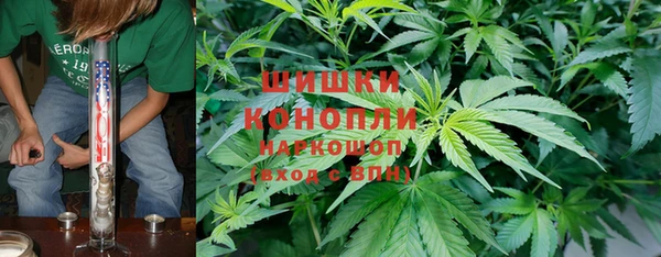 spice Бугульма