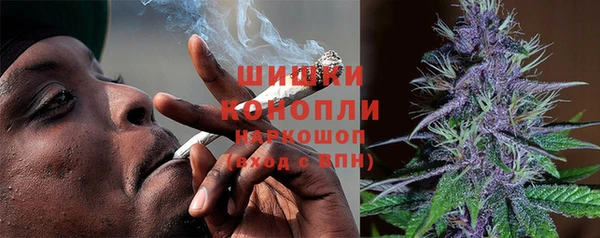 трава Бородино