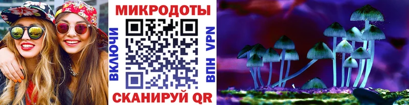 Псилоцибиновые грибы Psilocybe  Сосногорск 
